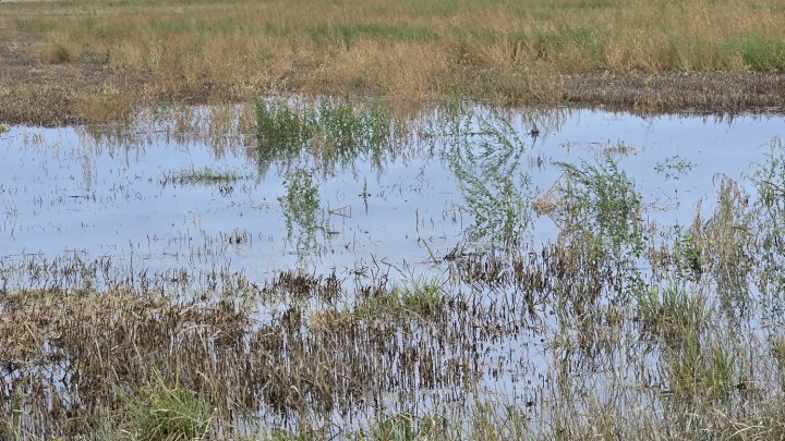 Povodně, ilustrační fotografie. 