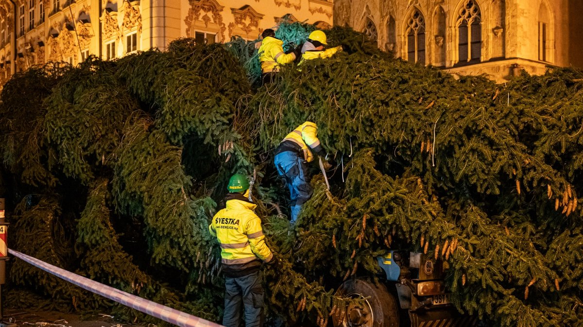 Ukotvení vánočního stromu na Staroměstském náměstí (26.11.2024)