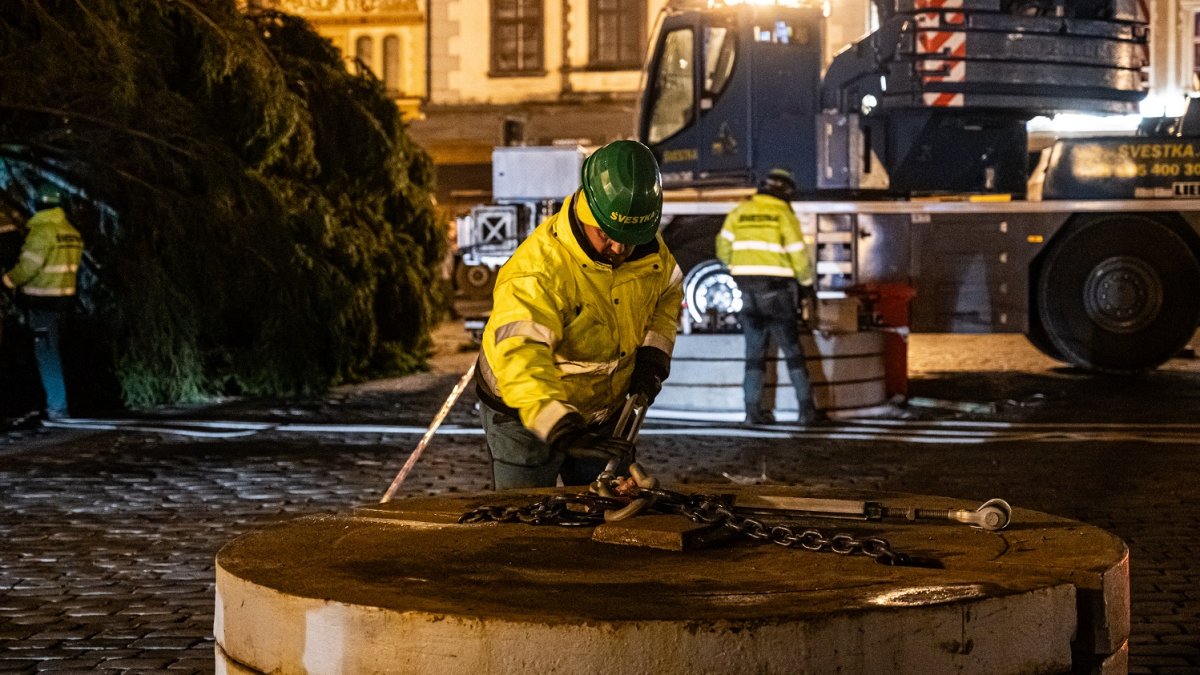 Ukotvení vánočního stromu na Staroměstském náměstí (26.11.2024)