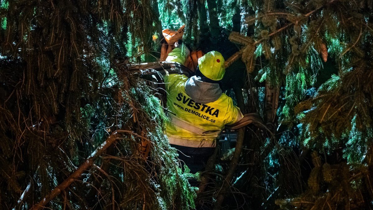 Ukotvení vánočního stromu na Staroměstském náměstí (26.11.2024)