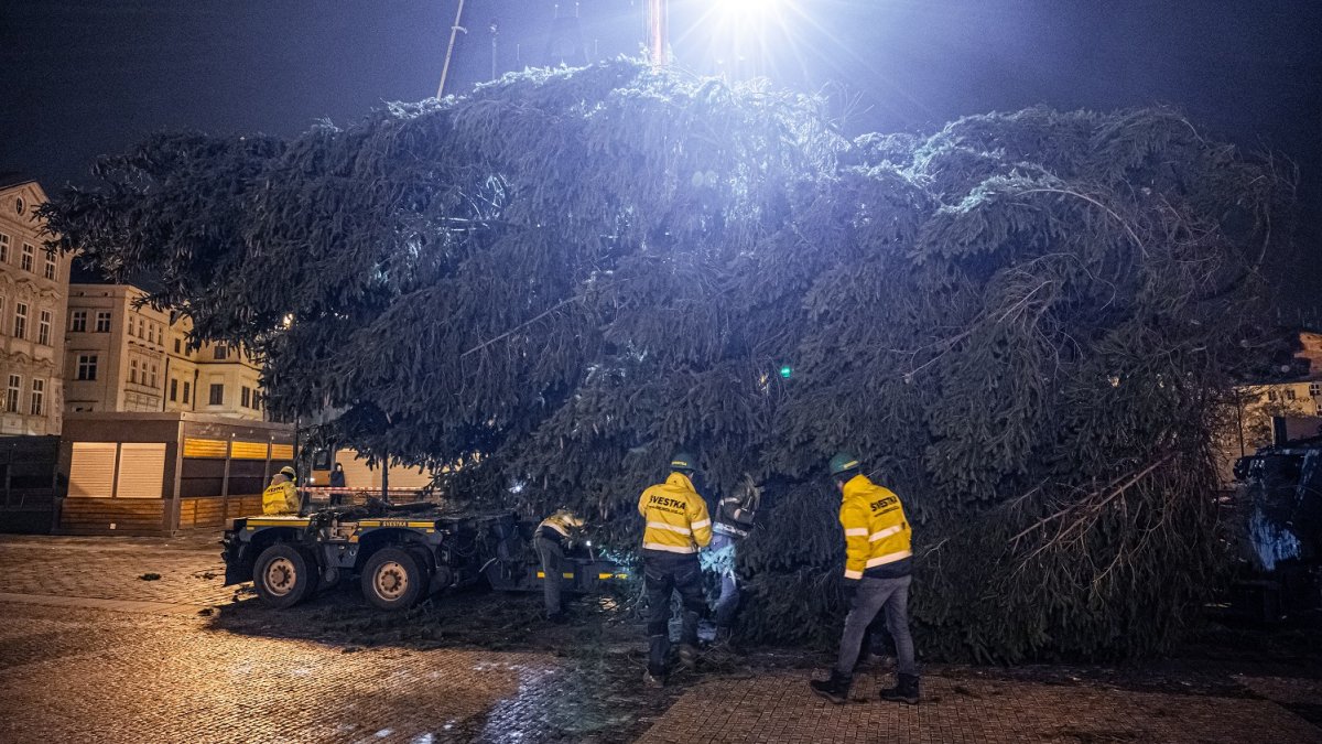 Ukotvení vánočního stromu na Staroměstském náměstí (26.11.2024)