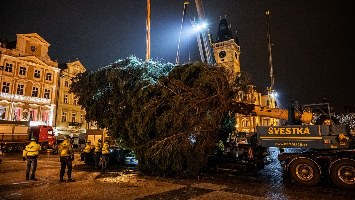 Ukotvení vánočního stromu na Staroměstském náměstí (26.11.2024)