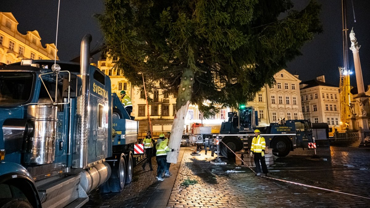 Ukotvení vánočního stromu na Staroměstském náměstí (26.11.2024)