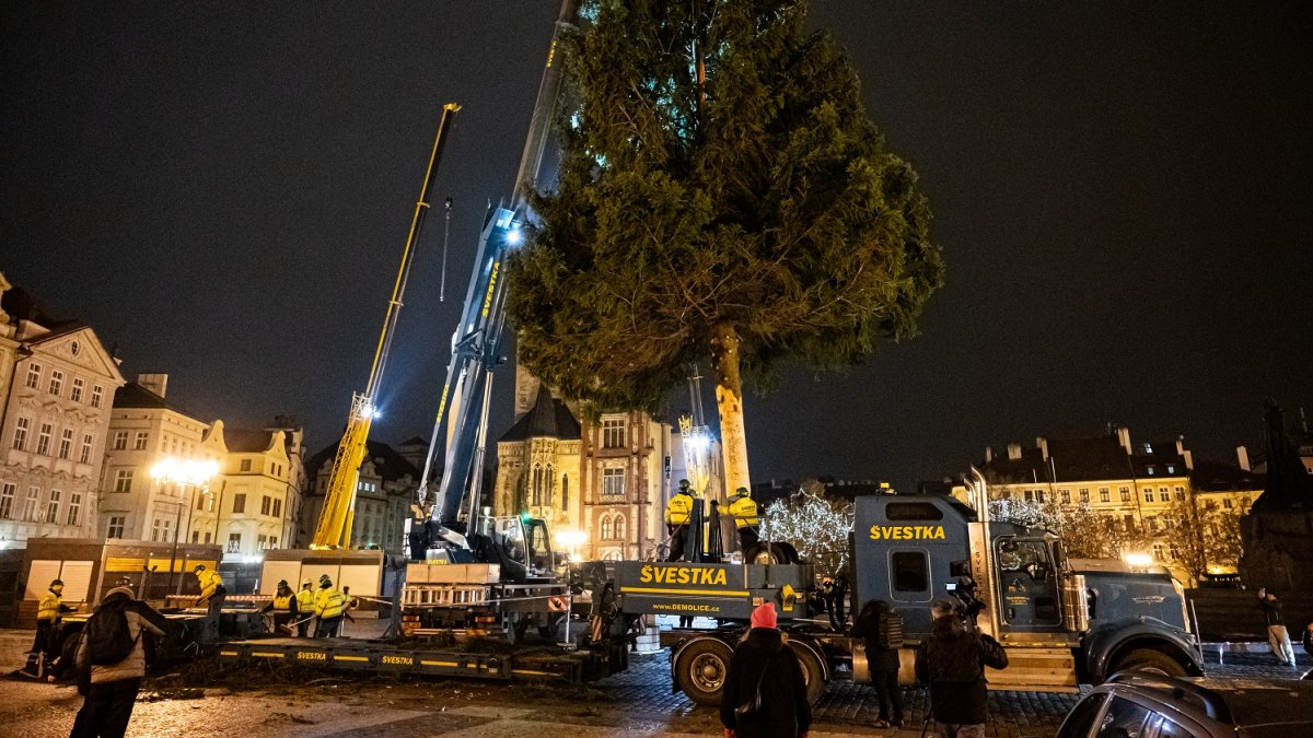 Ukotvení vánočního stromu na Staroměstském náměstí (26.11.2024)