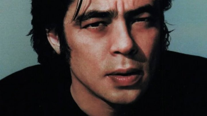 Benicio del Toro