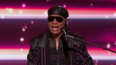 Stevie Wonder