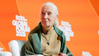 Jane Goodallová