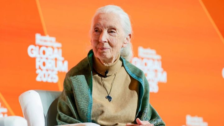 Jane Goodallová