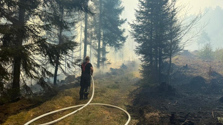 Hasiči zasahují u požáru v Českém Švýcarsku. 