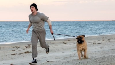 Skutečný a téměř neuvěřitelný příběh zrodu filmové legendy přináší nový americký snímek Já, Rocky.